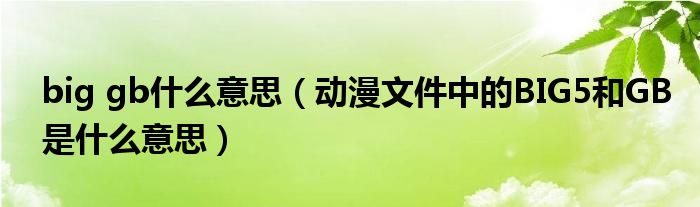 big gb什么意思（动漫文件中的BIG5和GB是什么意思）