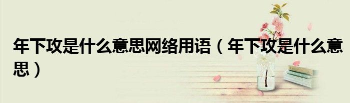 年下攻是什么意思网络用语（年下攻是什么意思）
