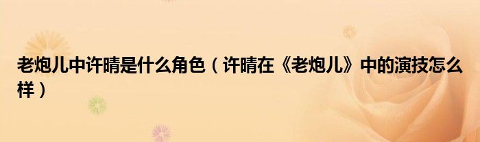 老炮儿中许晴是什么角色（许晴在《老炮儿》中的演技怎么样）