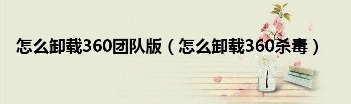 怎么卸载360团队版（怎么卸载360杀毒）