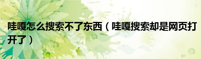 哇嘎怎么搜索不了东西（哇嘎搜索却是网页打开了）