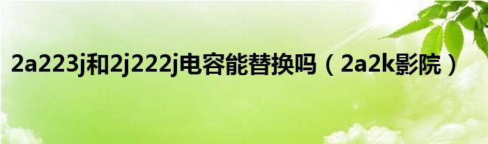 2a223j和2j222j电容能替换吗（2a2k影院）