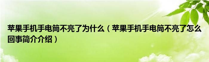 苹果手机手电筒不亮了为什么（苹果手机手电筒不亮了怎么回事简介介绍）