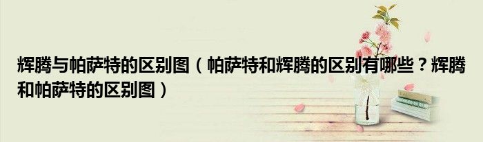 辉腾与帕萨特的区别图（帕萨特和辉腾的区别有哪些？辉腾和帕萨特的区别图）