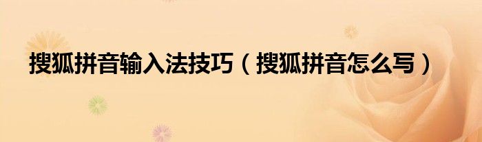 搜狐拼音输入法技巧（搜狐拼音怎么写）