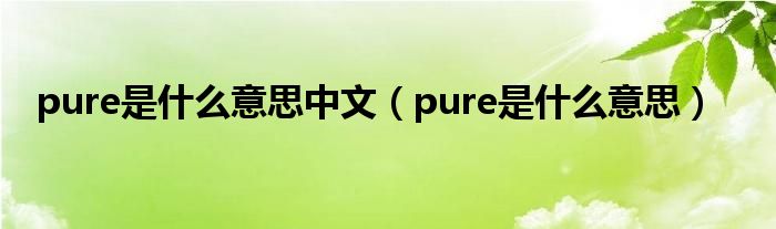 pure是什么意思中文（pure是什么意思）