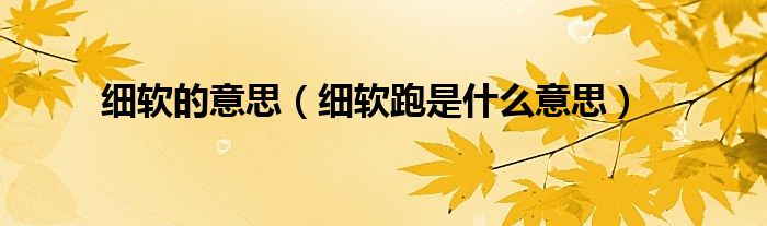 细软的意思（细软跑是什么意思）