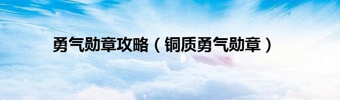 勇气勋章攻略（铜质勇气勋章）