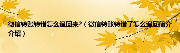 微信转账转错怎么追回来?（微信转账转错了怎么追回简介介绍）