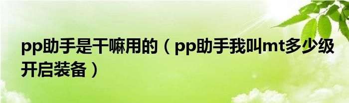 pp助手是干嘛用的（pp助手我叫mt多少级开启装备）