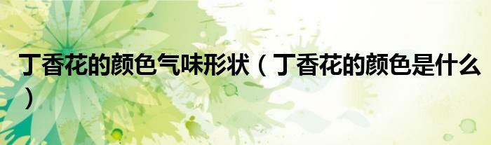 丁香花的颜色气味形状（丁香花的颜色是什么）