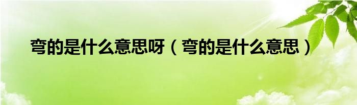 弯的是什么意思呀（弯的是什么意思）