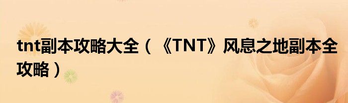 tnt副本攻略大全（《TNT》风息之地副本全攻略）