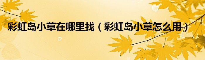 彩虹岛小草在哪里找（彩虹岛小草怎么用）