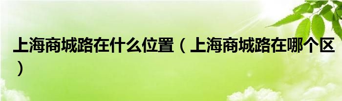 上海商城路在什么位置（上海商城路在哪个区）