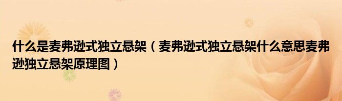 什么是麦弗逊式独立悬架（麦弗逊式独立悬架什么意思麦弗逊独立悬架原理图）