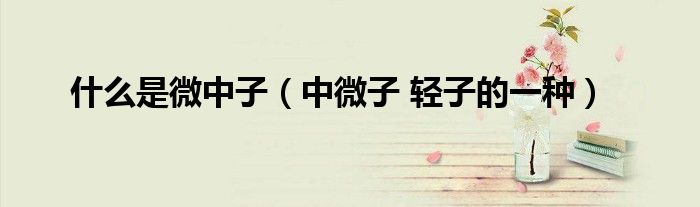 什么是微中子（中微子 轻子的一种）