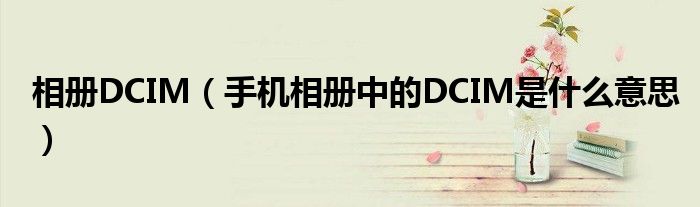 相册DCIM（手机相册中的DCIM是什么意思）