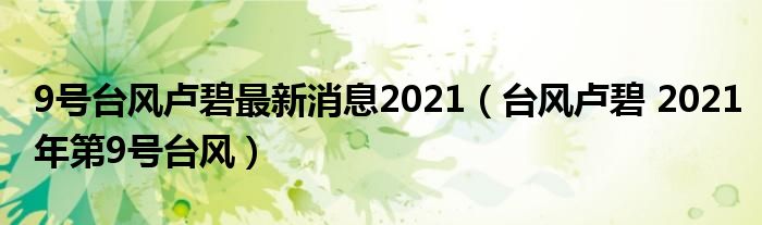 9号台风卢碧最新消息2021（台风卢碧 2021年第9号台风）