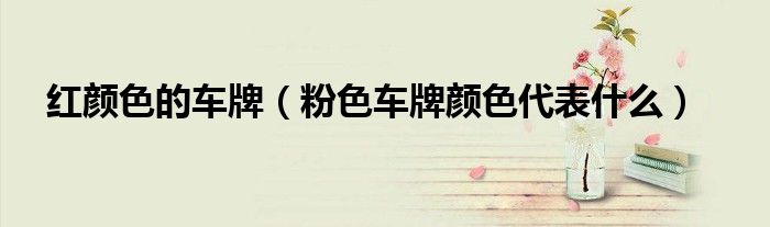 红颜色的车牌（粉色车牌颜色代表什么）