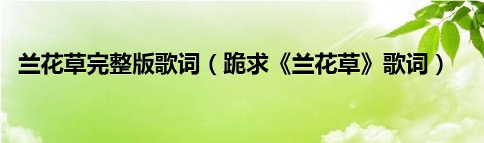 兰花草完整版歌词（跪求《兰花草》歌词）