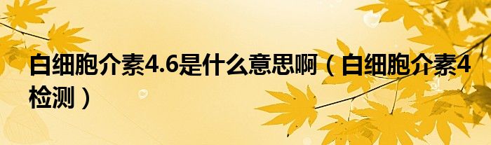 白细胞介素4.6是什么意思啊（白细胞介素4检测）