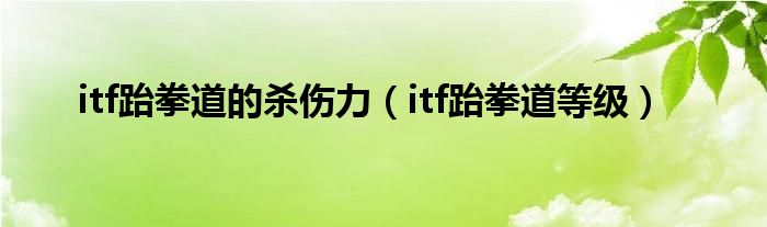 itf跆拳道的杀伤力（itf跆拳道等级）