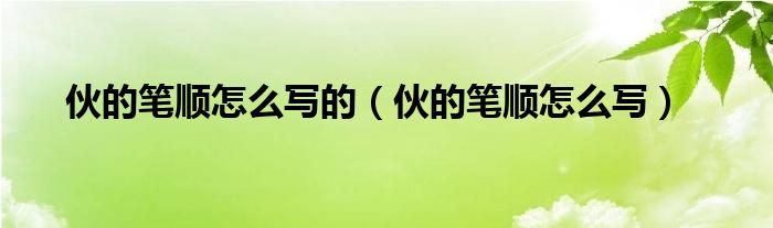 伙的笔顺怎么写的（伙的笔顺怎么写）