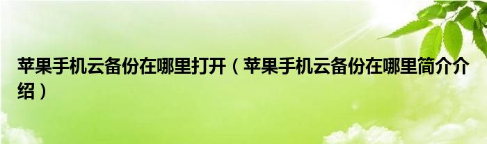 苹果手机云备份在哪里打开（苹果手机云备份在哪里简介介绍）