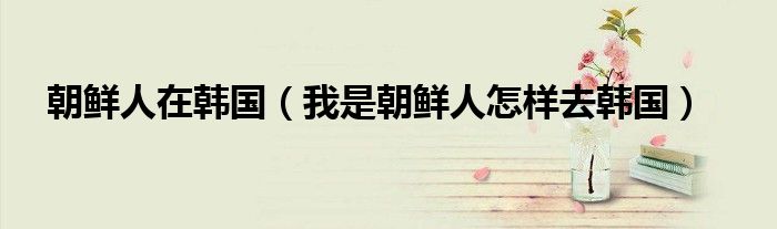 朝鲜人在韩国（我是朝鲜人怎样去韩国）
