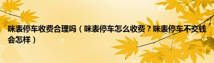 咪表停车收费合理吗（咪表停车怎么收费？咪表停车不交钱会怎样）