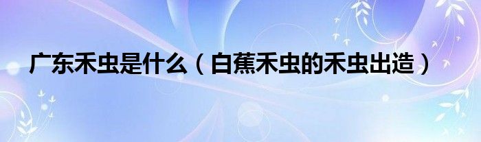 广东禾虫是什么（白蕉禾虫的禾虫出造）