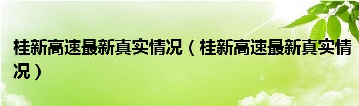 桂新高速最新真实情况（桂新高速最新真实情况）