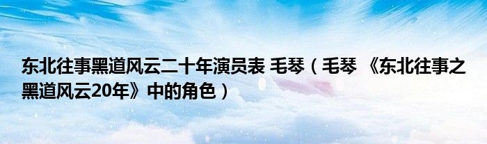 东北往事黑道风云二十年演员表 毛琴（毛琴 《东北往事之黑道风云20年》中的角色）