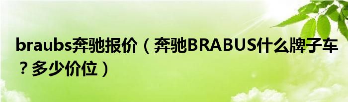 braubs奔驰报价（奔驰BRABUS什么牌子车？多少价位）