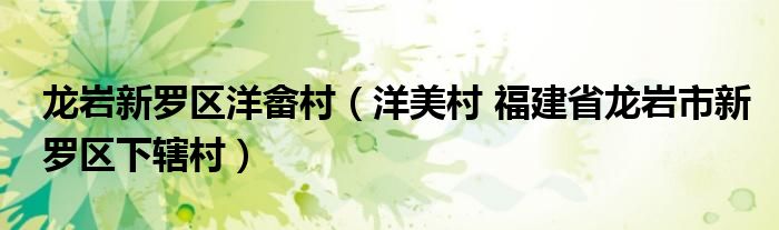龙岩新罗区洋畲村（洋美村 福建省龙岩市新罗区下辖村）