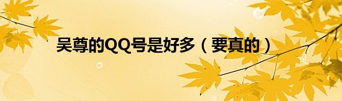 吴尊的QQ号是好多（要真的）