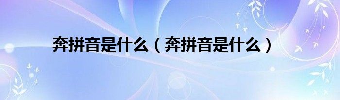 奔拼音是什么（奔拼音是什么）