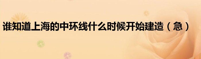 谁知道上海的中环线什么时候开始建造（急）
