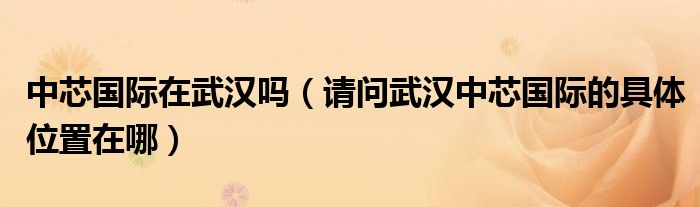 中芯国际在武汉吗（请问武汉中芯国际的具体位置在哪）