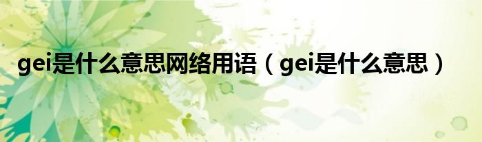 gei是什么意思网络用语（gei是什么意思）