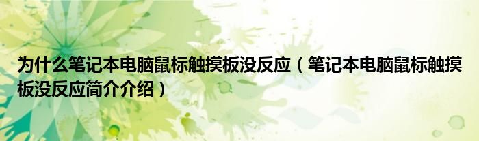 为什么笔记本电脑鼠标触摸板没反应（笔记本电脑鼠标触摸板没反应简介介绍）