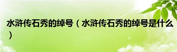 水浒传石秀的绰号（水浒传石秀的绰号是什么）