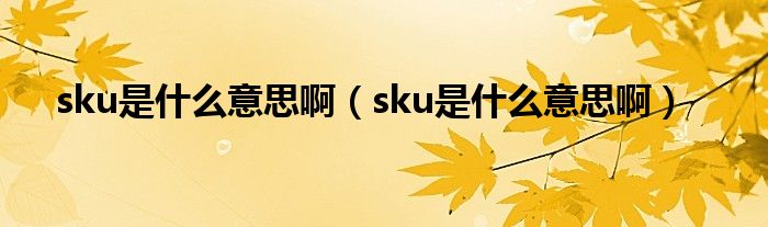 sku是什么意思啊（sku是什么意思啊）