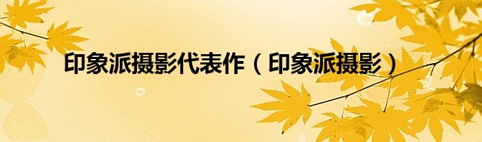 印象派摄影代表作（印象派摄影）