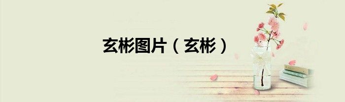 玄彬图片（玄彬）