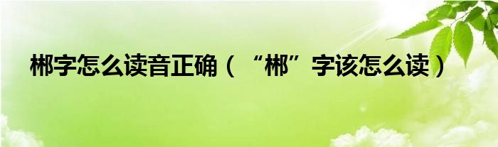 郴字怎么读音正确（“郴”字该怎么读）