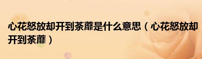 心花怒放却开到荼蘼是什么意思（心花怒放却开到荼蘼）