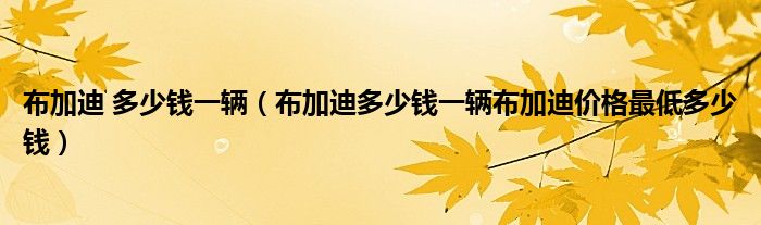 布加迪 多少钱一辆（布加迪多少钱一辆布加迪价格最低多少钱）
