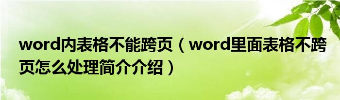 word内表格不能跨页（word里面表格不跨页怎么处理简介介绍）